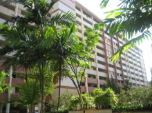Blk 509 Ang Mo Kio Avenue 8 (Ang Mo Kio), HDB 3 Rooms #45092
